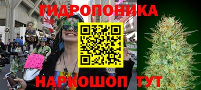 дживик Дубна