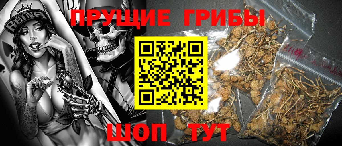 Евпатория  Галлюциногенные грибы GOLDEN TEACHER  Вход с VPN 