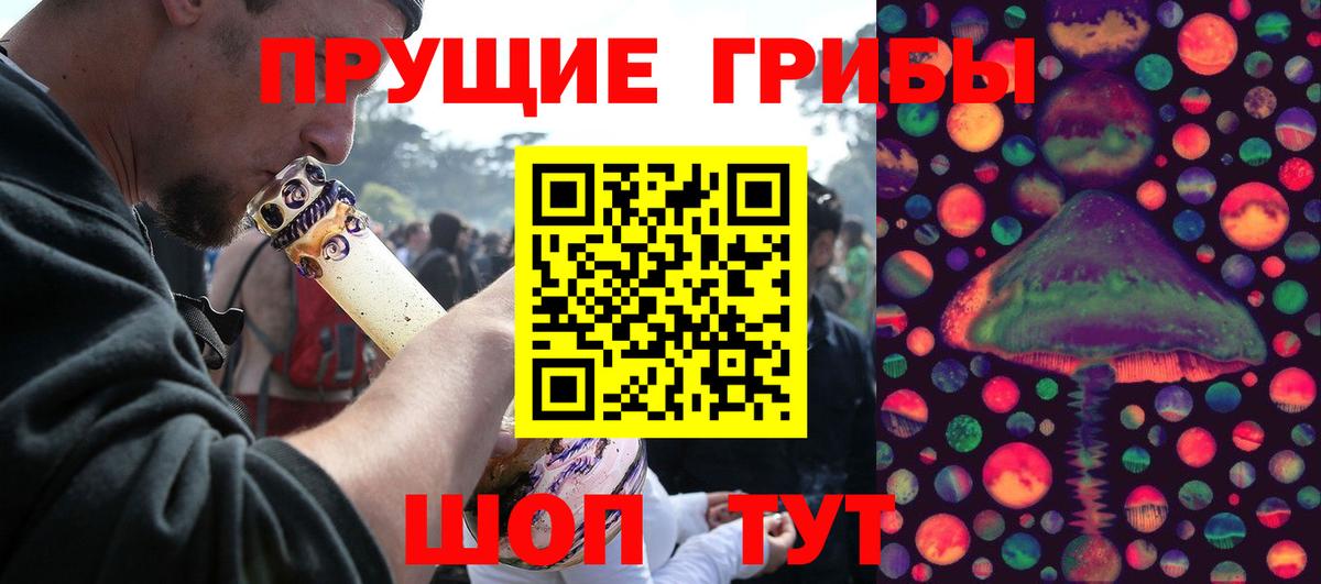 Псилоцибиновые грибы прущие грибы Евпатория